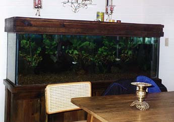 Visual Image of the Aquarium :)